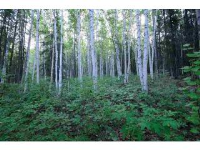 nhn Hillside Drive, Lot 1, Fairbanks, AK 99709 