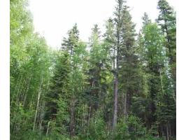 1538 N Radar Dr, Fairbanks, AK 99709 