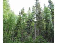 1538 N Radar Dr, Fairbanks, AK 99709 