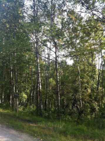 953 High Grade Way, Fairbanks, AK 99712 