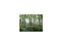 1650 Tungsten Trail, Fairbanks, AK 99712 