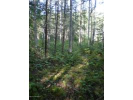 7580 S Rubacaba Street, Wasilla, AK 99654 