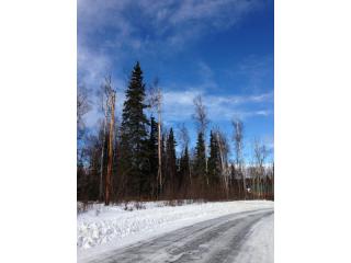 9171 W O'Brien Creek Drive, Wasilla, AK 99654 