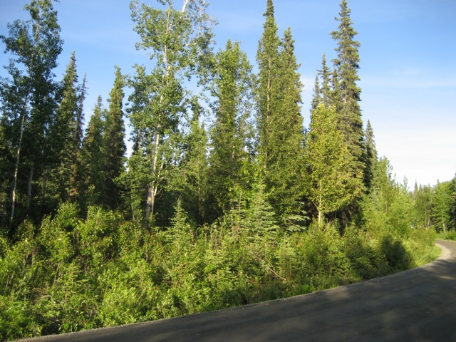 42779 Sterling Highway, Soldotna, AK 99669 