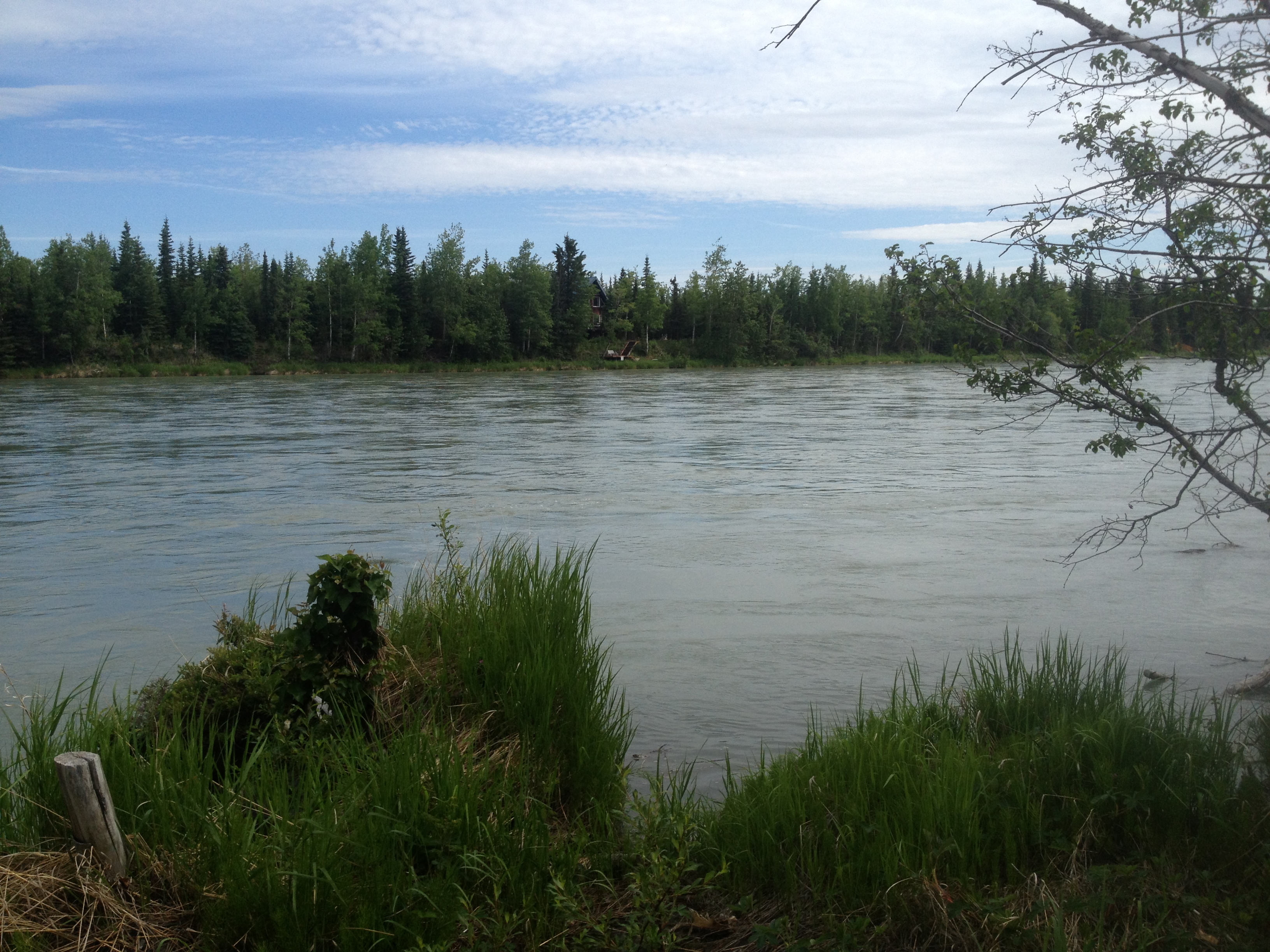 L15 B2 King Salmon Avenue, Soldotna, AK 99669 