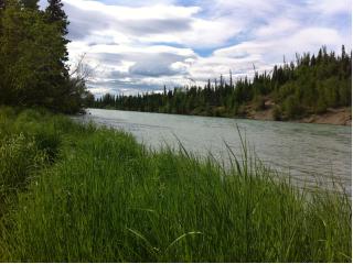 33830 Fishermans Road, Soldotna, AK 99669 