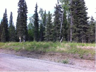 37382 Wanda Gail Street, Soldotna, AK 99669 