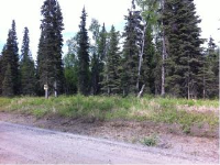 37382 Wanda Gail Street, Soldotna, AK 99669 