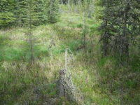 L2A B3 Meeks Street, Soldotna, AK 99669 