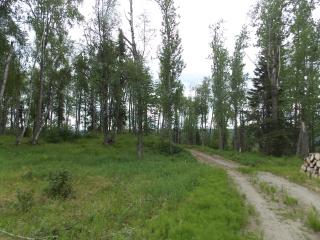 L42 Authentic Road, Soldotna, AK 99669 