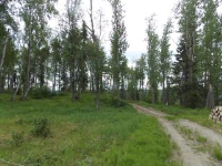L42 Authentic Road, Soldotna, AK 99669 