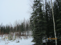 38063 Lakewood Road, Soldotna, AK 99669 