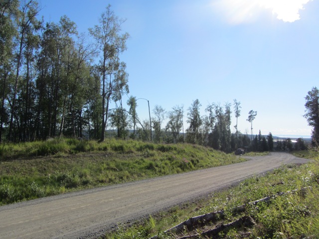 L 12 Authentic Road, Soldotna, AK 99669 