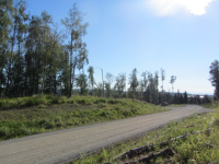 L 12 Authentic Road, Soldotna, AK 99669 