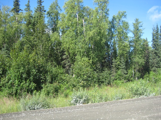 395 Boundary Street, Soldotna, AK 99669 