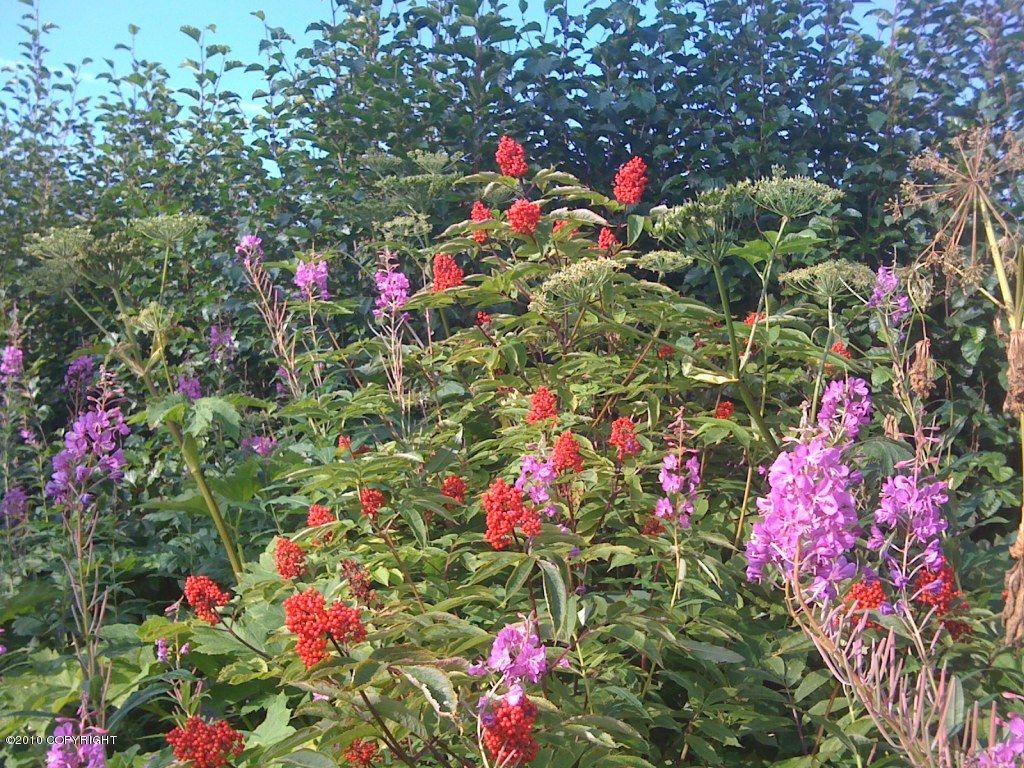 L15 B1 Pavillion Drive, Soldotna, AK 99669 