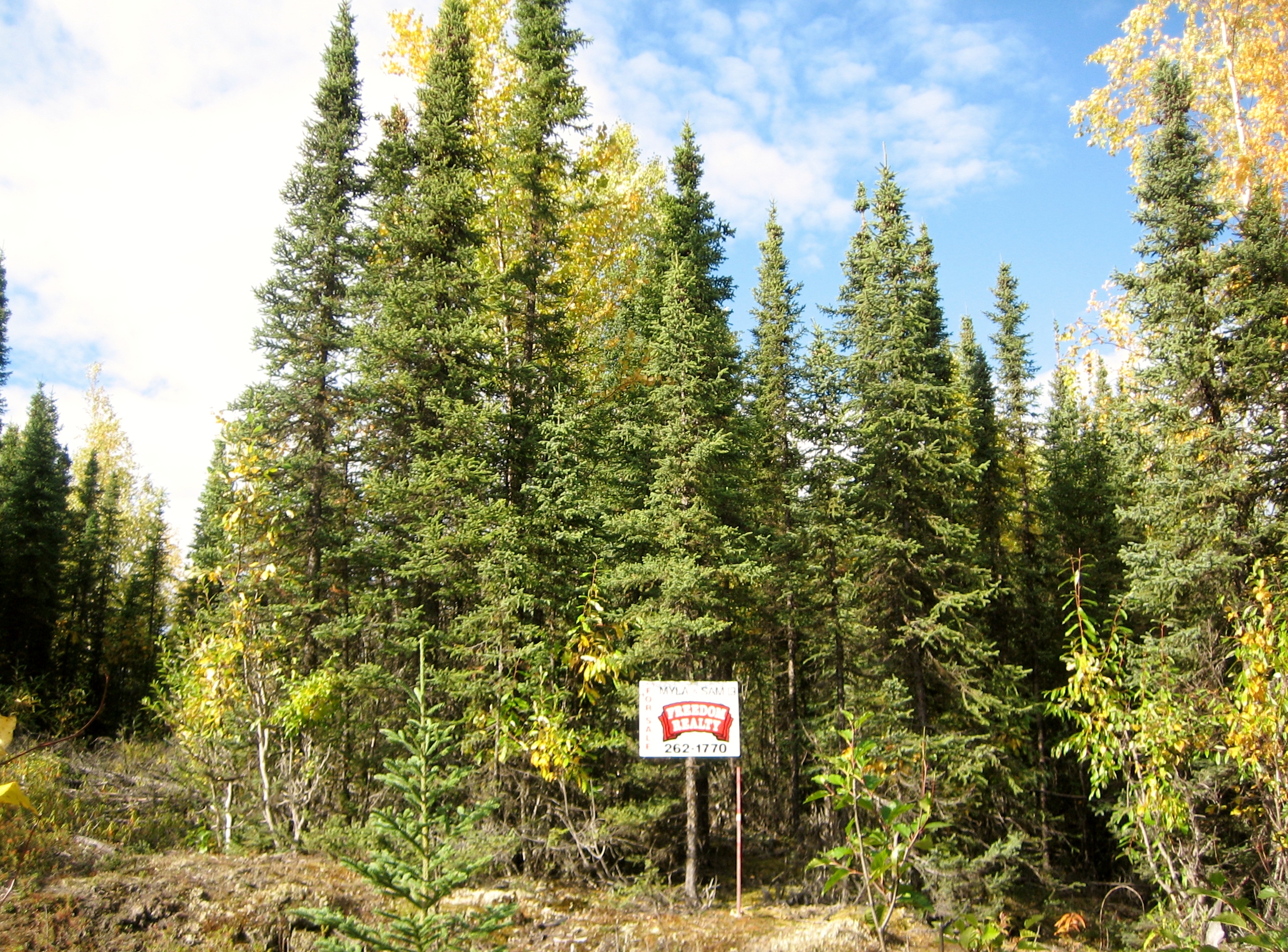 32729 Trish Court, Soldotna, AK 99669 