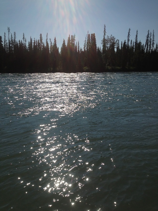 33933 Rippa Court, Sterling, AK 99672 