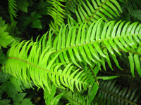 37020 Card Road, Sterling, AK 99672 