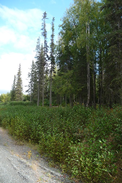 L9 Opengate Court, Sterling, AK 99672 