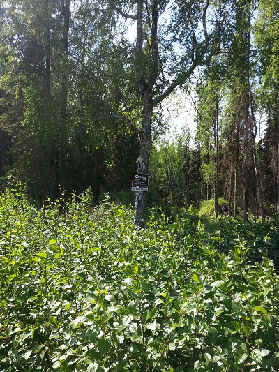 L8 Opengate Court, Sterling, AK 99672 