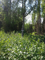 L8 Opengate Court, Sterling, AK 99672 