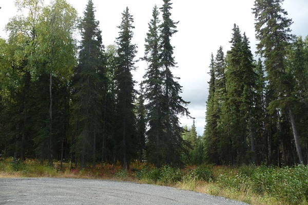 L6 Opengate Court, Sterling, AK 99672 