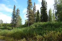 L1 Opengate Court, Sterling, AK 99672 