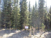 L6 B8 Stassi Lane, Sterling, AK 99672 