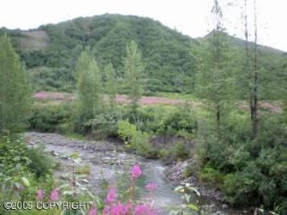 Lot 8 Cache Creek Recreational, Trapper Creek, AK 99683 