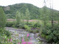 Lot 8 Cache Creek Recreational, Trapper Creek, AK 99683 