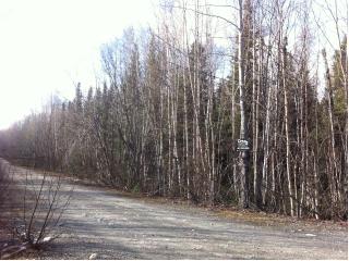 12999 W Denlow Drive, Houstin, AK 99694 