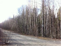 12999 W Denlow Drive, Houstin, AK 99694 