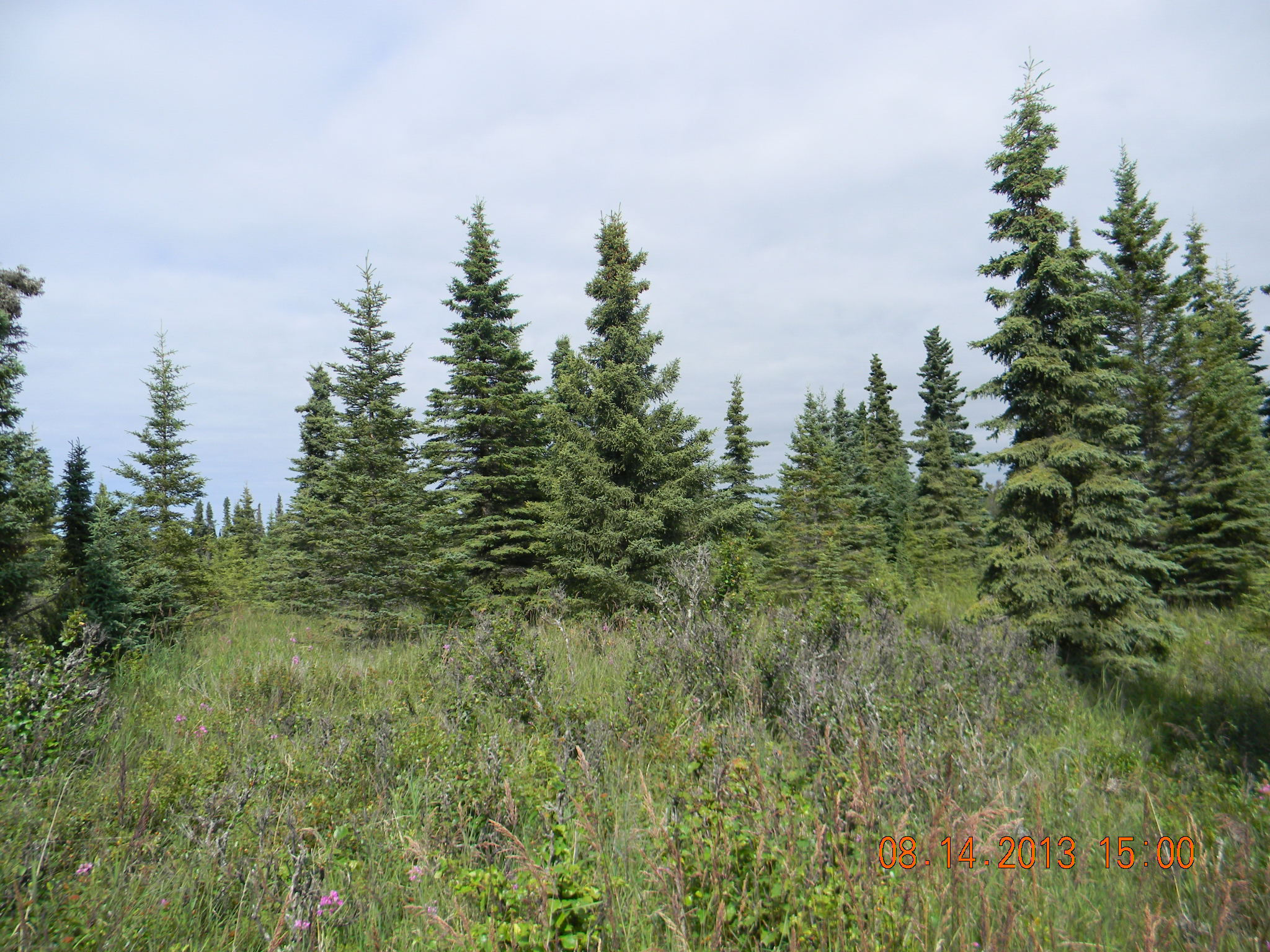 50840 Tiller Avenue, Kenai, AK 99611 