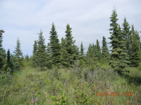 50840 Tiller Avenue, Kenai, AK 99611 