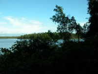 L2 Puppy Dog Lake, Nikiski, AK 99635 