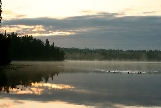 GL 48 Daniel's Lake, Nikiski, AK 99635 