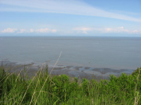 14185 Sterling Highway, Ninilchik, AK 99639 