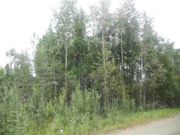 1275 Baguette Drive, North Pole, AK 99705 
