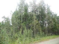 1275 Baguette Drive, North Pole, AK 99705 