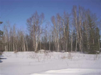 297.5 Parks Highway, Nenana, AK 99760 