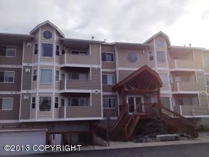 11351 Discovery View Drive, Anchorage, AK 99515 