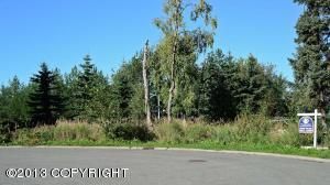 9401 Alissa Circle, Anchorage, AK 99515 