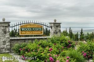 16811 Woods Pointe Circle, Anchorage, AK 99516 