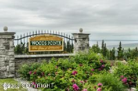 16811 Woods Pointe Circle, Anchorage, AK 99516 