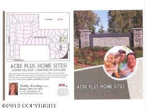 L31 B1 Cross View, Anchorage, AK 99516 