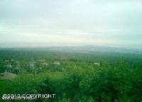 L-B1 Glen Alps Road, Anchorage, AK 99516 
