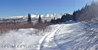 L2 Pain Road, Anchorage, AK 99516 