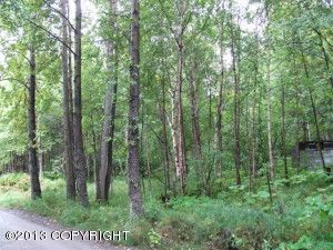 L246 Ptarmigan Terrace, Anchorage, AK 99516 