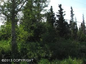 16200 Carl Street, Anchorage, AK 99516 